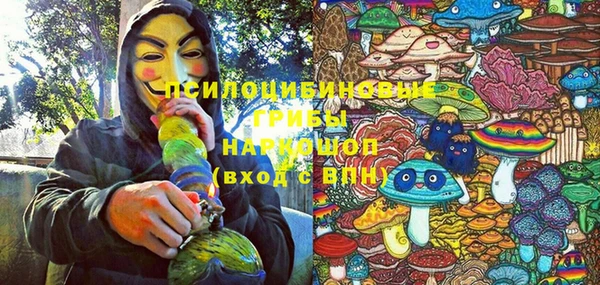 эйфоретик Аркадак