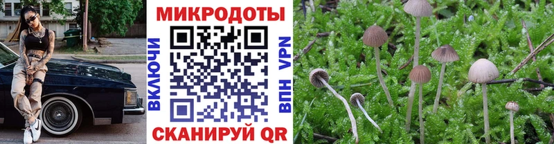 Галлюциногенные грибы Psilocybine cubensis  Островной 